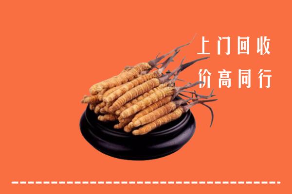 高价求购：泸溪回收散虫草