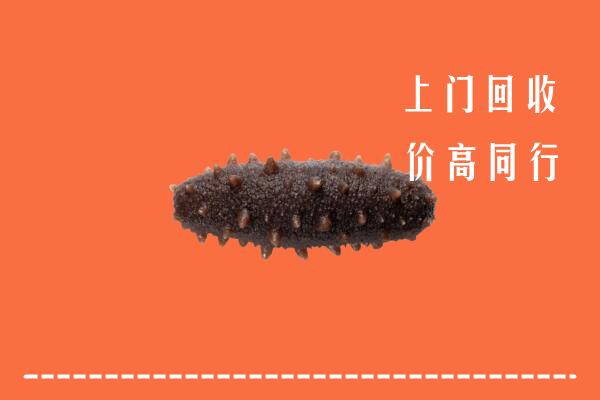 高价求购：泸溪回收海参
