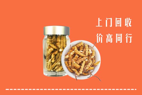 泸溪回收冬虫夏草