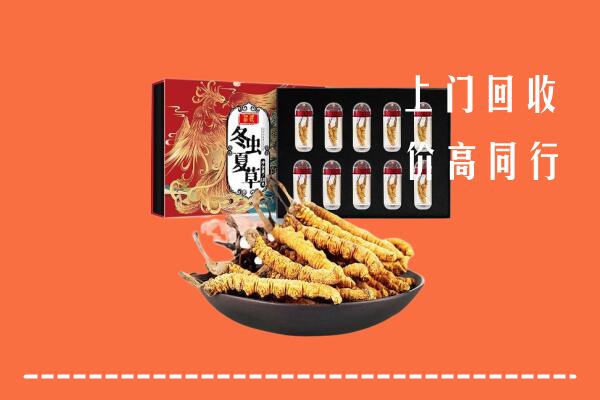 泸溪回收虫草